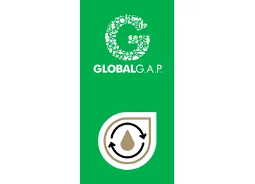 SPRING logo