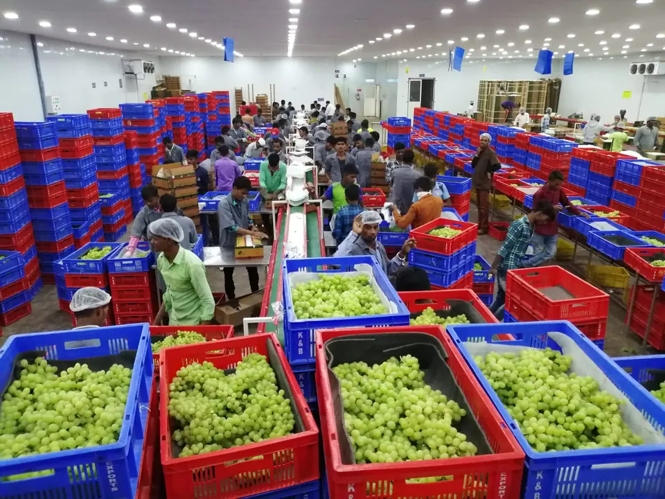 Farm and variety selection
