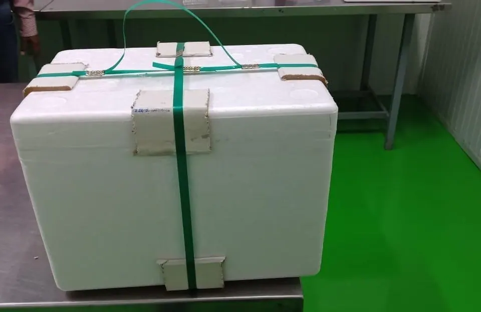 Thermal protection