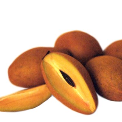 Sapodilla7-mo